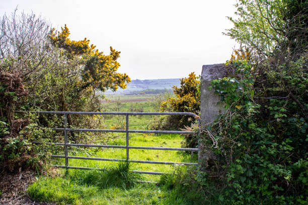 istock Sunset on a Irish farm located in West Ireland. 1306502589