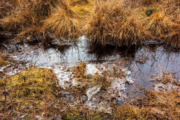 istock Close view of melting ice in a ditch 1306505324