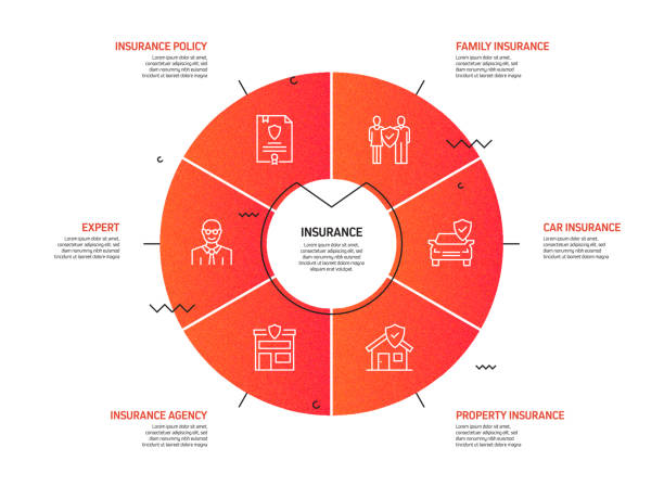 Insurance Timeline. Visual Health Insurance Infographic Illustrations, Royalty-Free Vector ...