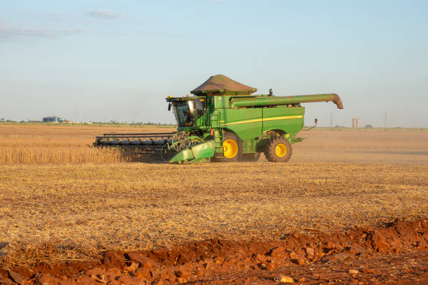 colheita de soja em fazenda no brasil - image title - fotografias e filmes do acervo