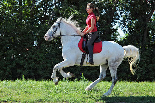 Equestrian model girl riding sportive dressage horse in green summer fields
