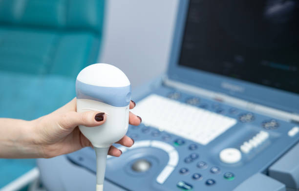 istock Obstetrician gynecologist's hand with ultrasound scanning device. 1306507228