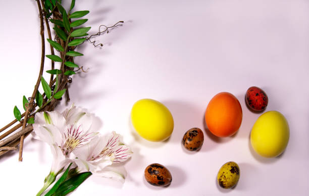 istock Easter eggs with nast and plants on a white background 1306507422