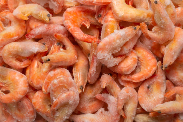 istock Fresh shrimps in ice. Top view. 1306510389