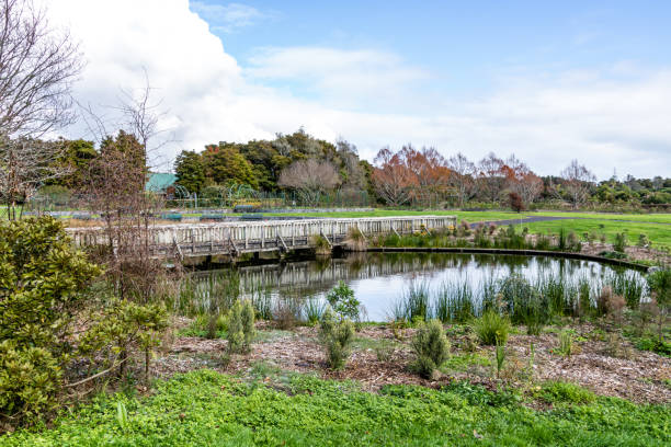 vistas a un paseo por los jardines. jardín botánico, auckland, nueva zelanda - auckland region fotografías e imágenes de stock