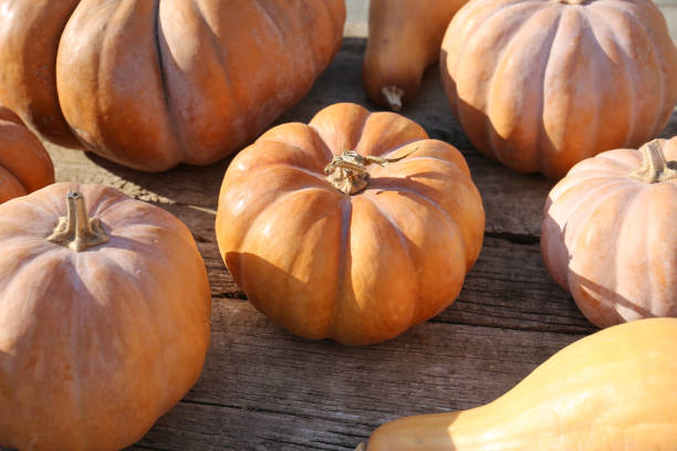 istock Many pumpkins on a wooden surface 1306514947