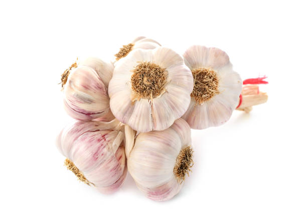 bunch of garlic in front of white background