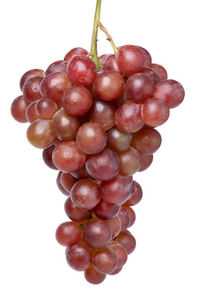 Bunch of large red grapes on white background close up