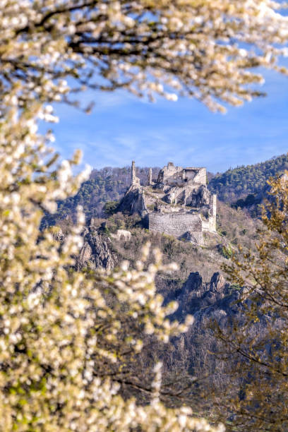 istock Durnstein castle during spring time in Wachau valley, Austria 1306519662