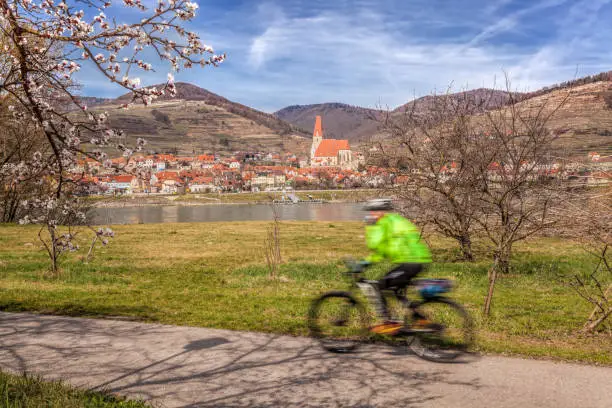 Cyclist on bike route against Weissenkirchen village during spring time in Wachau, Austria