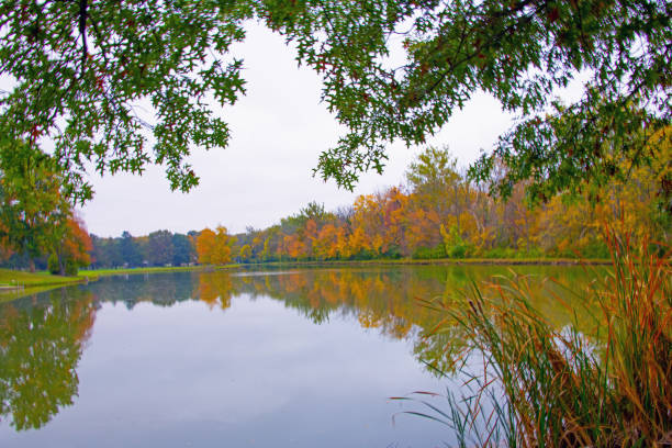 A warm autumn day in the park of city Krasnodar
