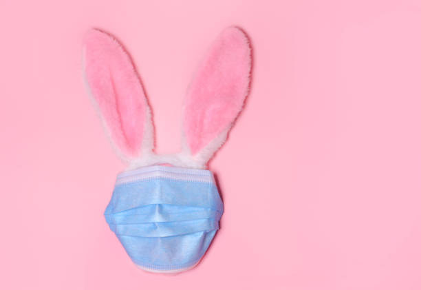 istock Pink bunny rabbit with face protective mask on pink background. Easter quarantine concept.Copy space for text, top view, flat lay 1306522622