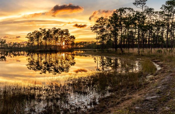 istock Trees on an island and clouds reflecting in the lake at sunset 1306528821
