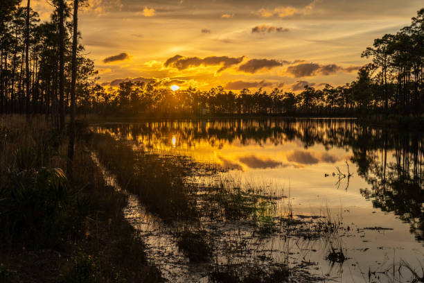 istock Trees and clouds reflecting in the lake at sunset 1306529309