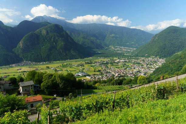 panoramiczny widok na dolinę valtellina - adda zdjęcia i obrazy z banku zdjęć