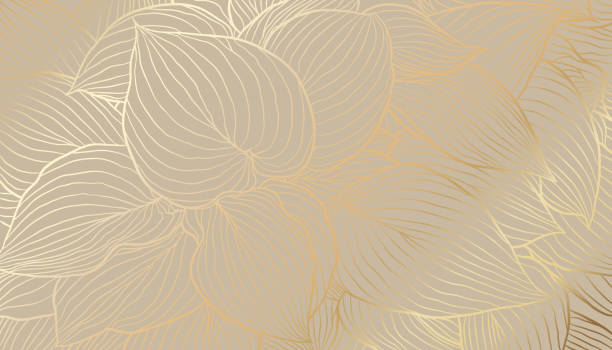 illustrations, cliparts, dessins animés et icônes de feuilles d’hosta d’or dans l’art tiré à la main de ligne sur le fond beige - gold leaf backgrounds gold ornate