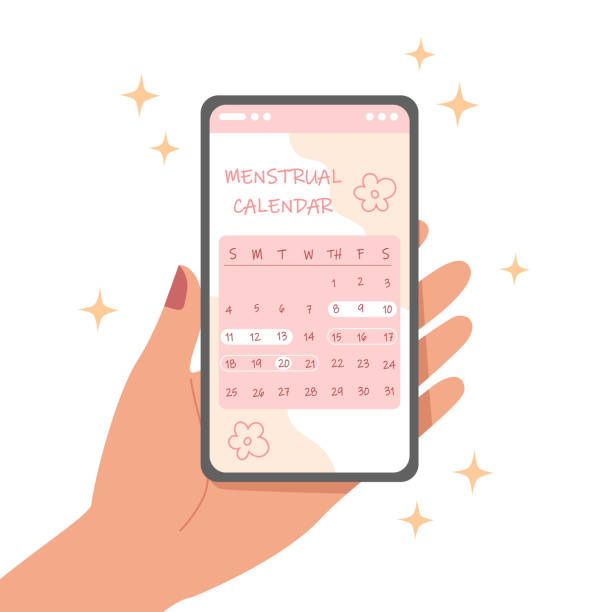 Smartphone with menstrual cycle calendar on screen Smartphone with menstrual cycle calendar on screen 3610 stock illustrations