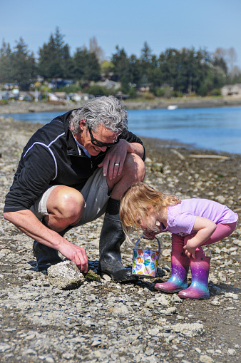Grandfather and his small granddaughter on a rocky beach next to the water.  Beachcombing. Real people.  Family multi-generation leisure activities. Family time.