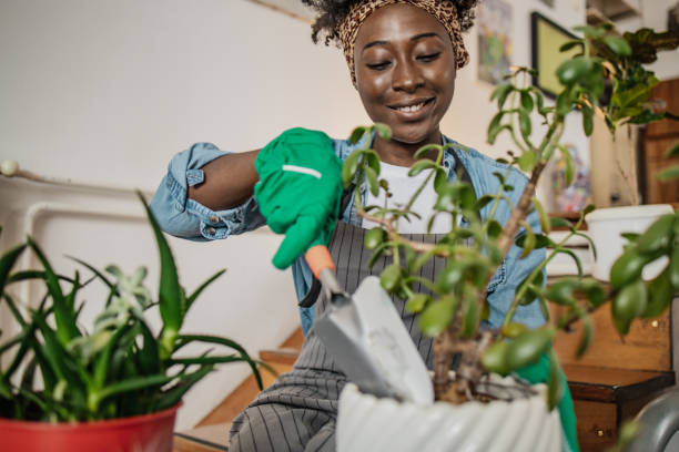 istock Home gardening as a hobby 1306540569