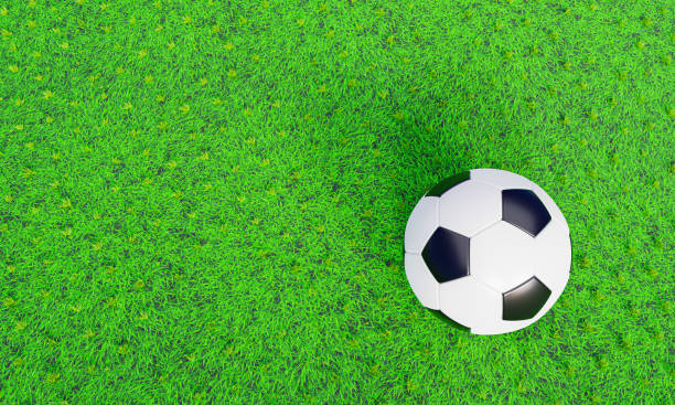 istock Realistic soccer ball or football ball basic pattern  on  green grass field. 3d Style and rendering concept for game. Use for background or wallpaper. 1306540590