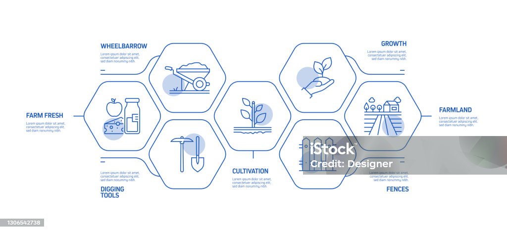 Farming And Agriculture Related Process Infographic Template Process ...