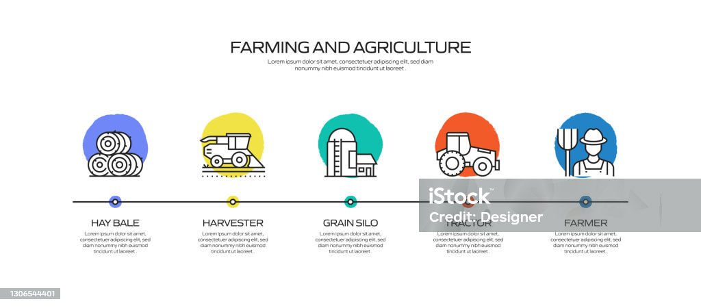 Farming And Agriculture Related Process Infographic Template Process ...