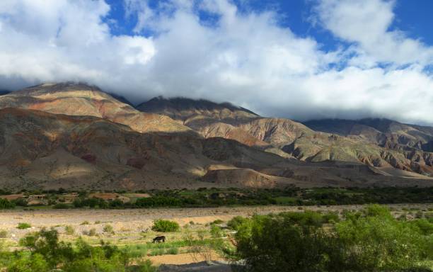 istock Humahuaca's rave at sunset 1306545011