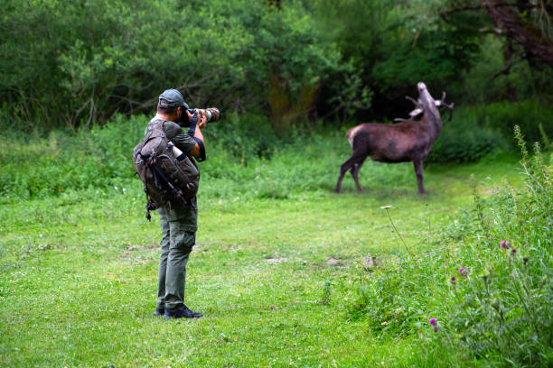 istock Wildlife photographer in the forest 1306548043