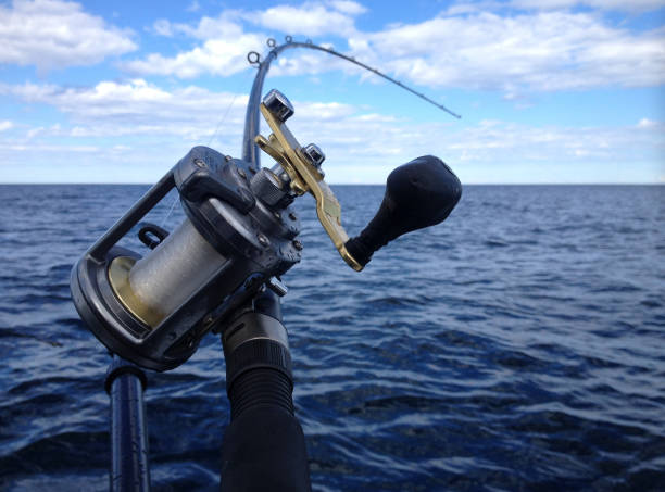 istock Fish on the Line in the Great Lakes 1306551535