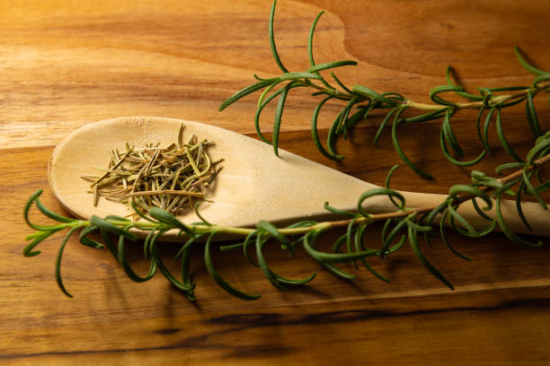 istock Dried rosemary and fresh rosemary twig. 1306552511