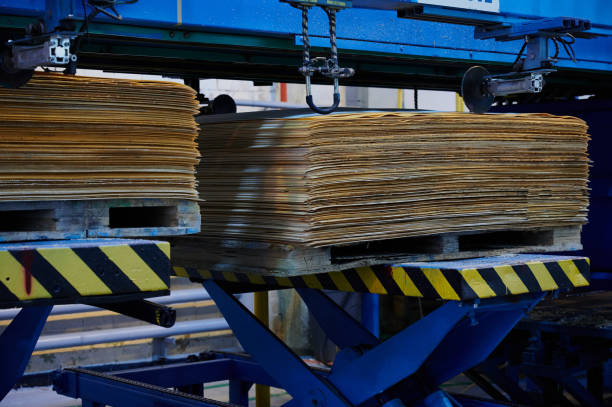 istock veneer packages on the production line in the factory during the processing process, the woodworking process chain 1306553005