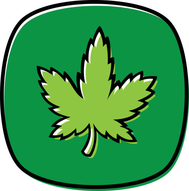 Marijuana Leaf Doodle 2 Stock Illustration - Download Image Now - Cannabis  Leaf, Cannabis Plant, Cartoon - iStock