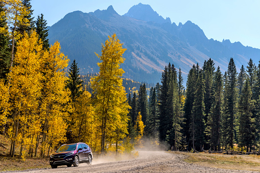 Ridgway, Colorado, USA - October 7, 2020: A burgundy Honda CRV blazing down a winding backcountry road in a colorful valley at base of rugged Sneffels Range on a bright sunny Autumn day.