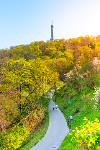 Petrin lookout tower hidden in trees of Petrin Gardens on Petrin Hill. View from Strahov Monastery. Prague, Czech Republic