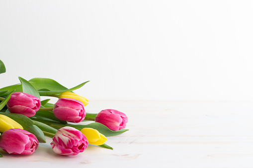 Bouquet of pink and yellow tulip flowers laying on white wood table with white background and copy space