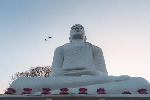 Giant white Buddha statue at Sri Maha Bodhi Viharaya, a Buddhist temple at Bahirawakanda at sunset or sunrise in Kandy, Sri Lanka.