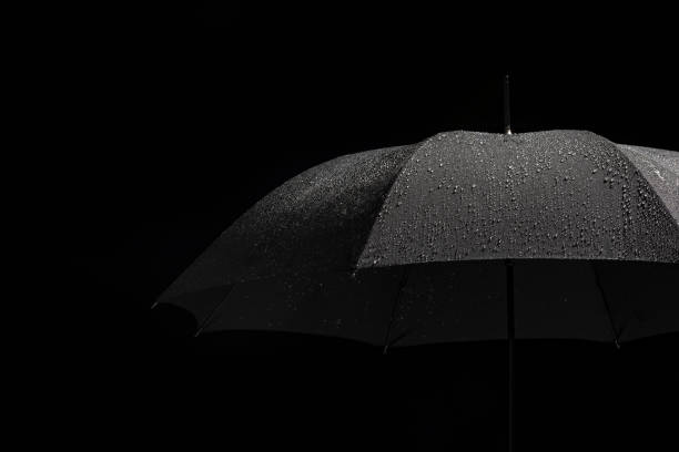 Free Stock Photo of Black and White Umbrella in Rain | Download Free ...