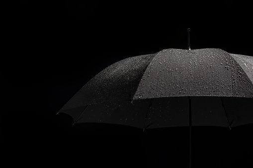 A studio shot of an open black umbrella, with drops of water on it, against a black background.