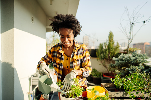 Photo of a young woman taking care of her rooftop garden, watering and transplanting different kinds of seedlings, on a bright, spring morning.