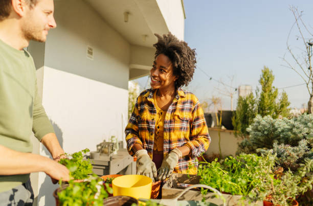 istock Taking care of our rooftop garden 1306572840