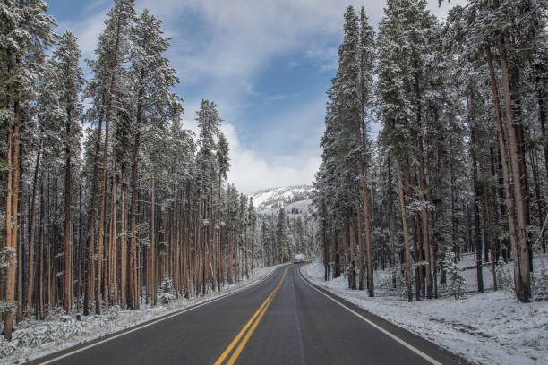 istock September snow in Yellowstone 1306577419
