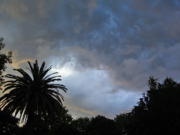 istock Moody skies in the park 1306579115