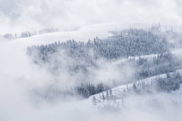 istock Foggy winter mountain scene during September snow in Yellowstone 1306579425
