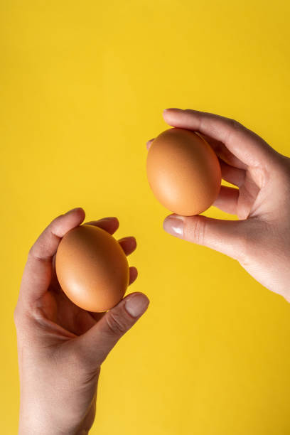 istock Top view fresh organic eggs in hands holding above yellow background 1306580465