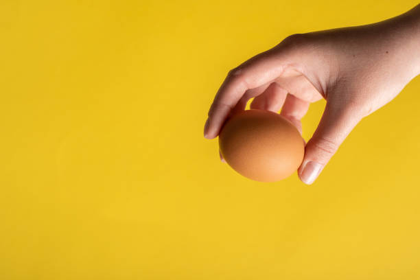 istock Top view fresh organic egg in hand holding above yellow background 1306580472