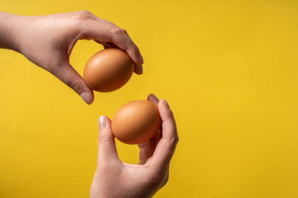 istock Top view fresh organic eggs in hands holding above yellow background 1306580497