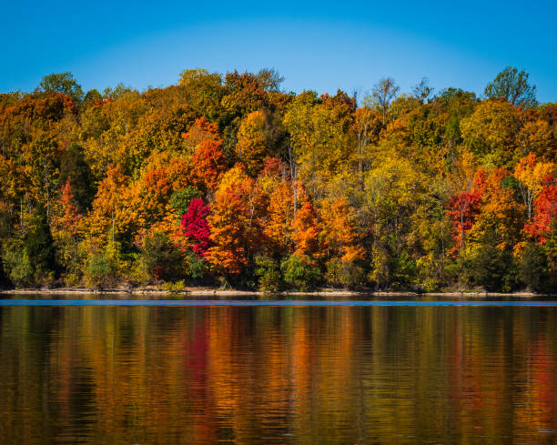 istock Beautiful Autumn colors with reflections over a lake 1306585976