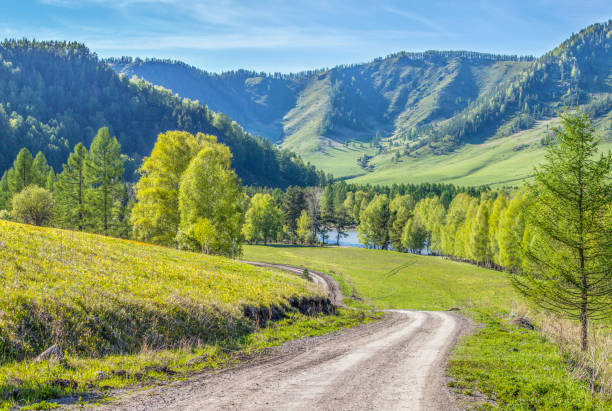 istock The road along the forest, spring meadows and fields, the countryside. 1306587366