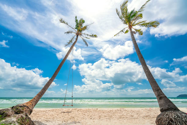 istock Seascape with tropical palms on beautiful Sao sandy beach 1306603047
