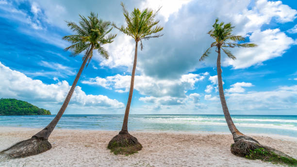 istock Seascape with tropical palms on beautiful Sao sandy beach 1306603073